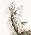 Image Not Available